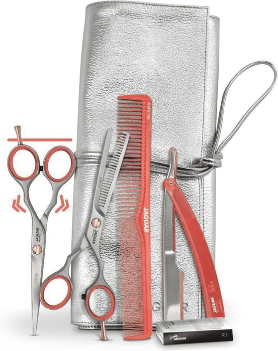 Jaguar Prestyle Ergo Hairdressing Scissors Kit – Pro Salon Hair Scissors & Thinner