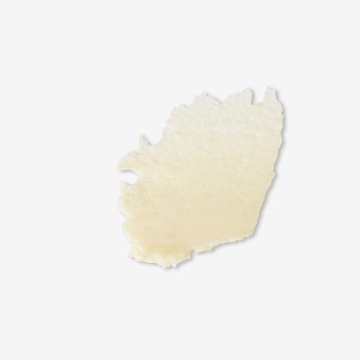 Evolve Organic Beauty Lip Treat Vegan Lip Balm Hydrating & Nourishing 15ml