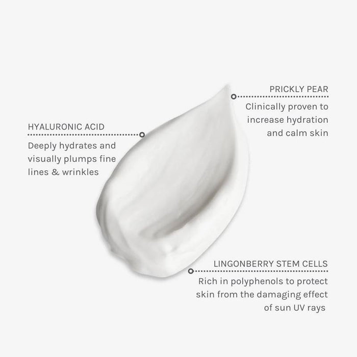 Evolve Organic Beauty Climate Defence Facial Cream SPF 30 Skin Protection 40ml